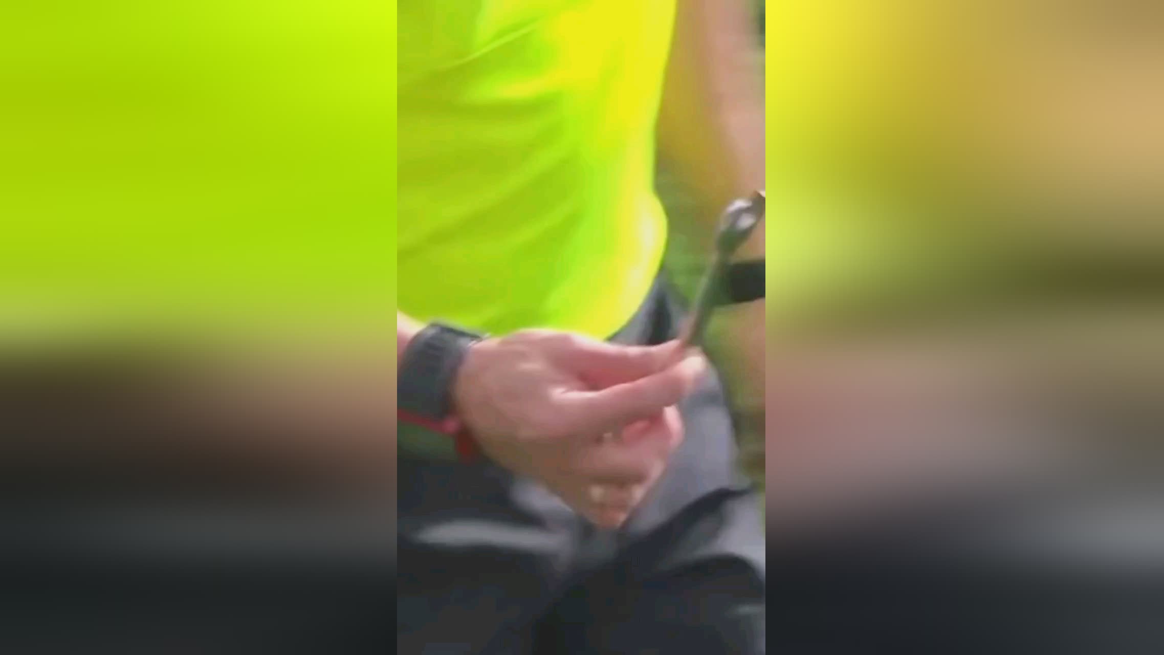 本次滑坡不
